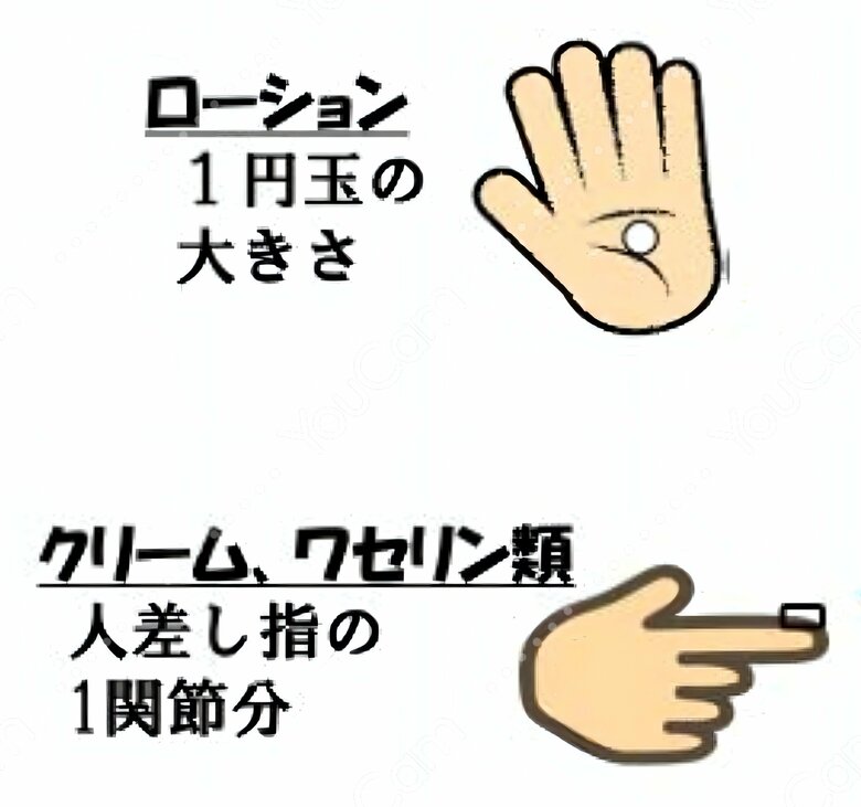 保湿剤を塗る量の目安（日本フットケア・足病医学会提供）