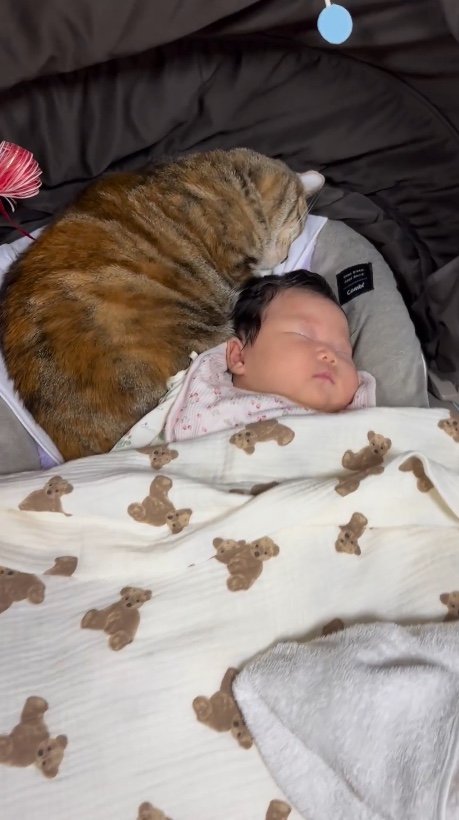 提供：エルモとみみりんさん