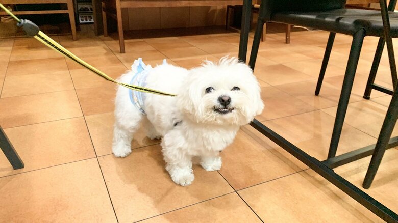 お気に入りのカフェでうれしそう