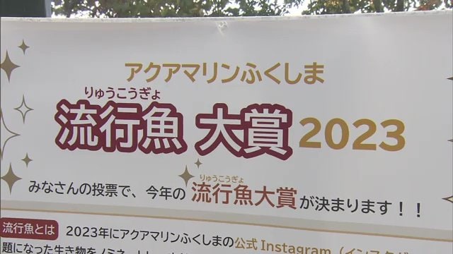 恒例となったアクアマリンふくしまの「流行魚大賞」