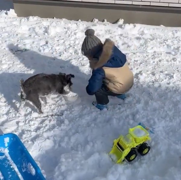 提供：くぅさん