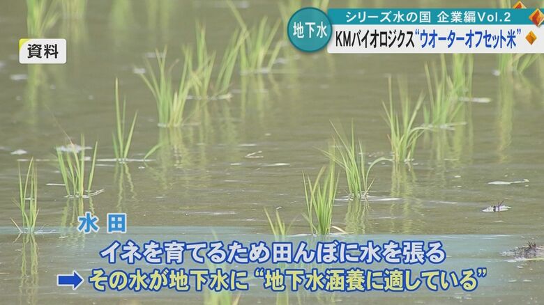 水田は地下水涵養に適しているといわれる