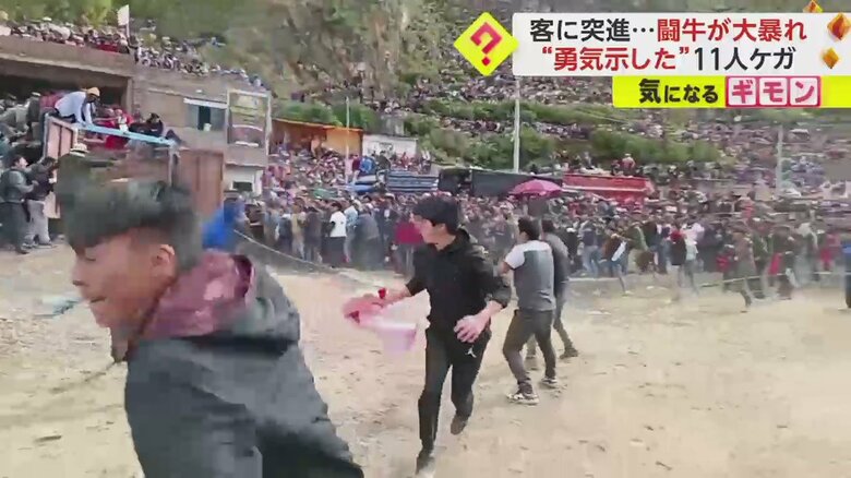 突進してくる牛から逃げる人々（La Unika FM）
