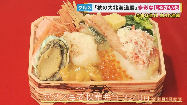 大きなボタン海老が乗ったお弁当も