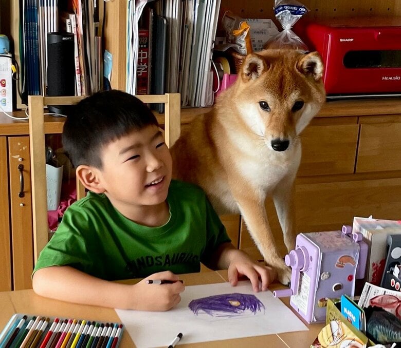 息子さんとむぎまるくん（提供：柴犬勇者むぎさん）