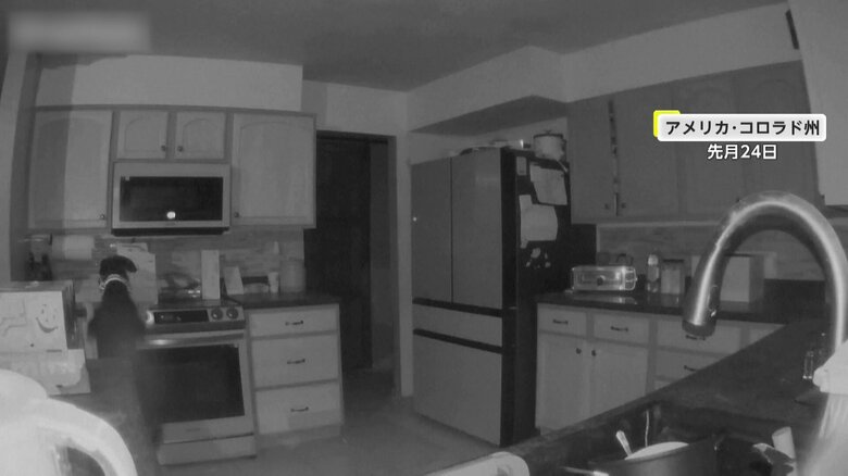 コンロに置かれた箱の匂いを嗅ぐ犬