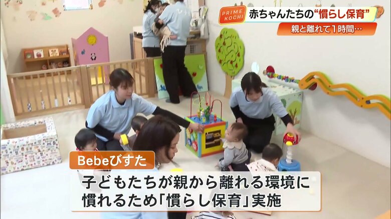 保育士に見守られながら、おもちゃで遊ぶ赤ちゃんたちの様子