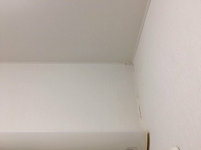 発見から2週間（8月21日）処理してもらった直後