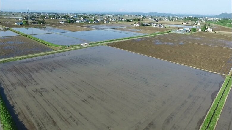 水田が広がる秋田・大仙市