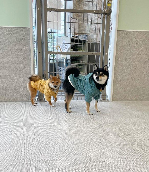 提供：まめふく&ゆめくりさん