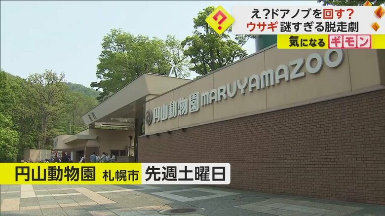 北海道・札幌市の円山動物園