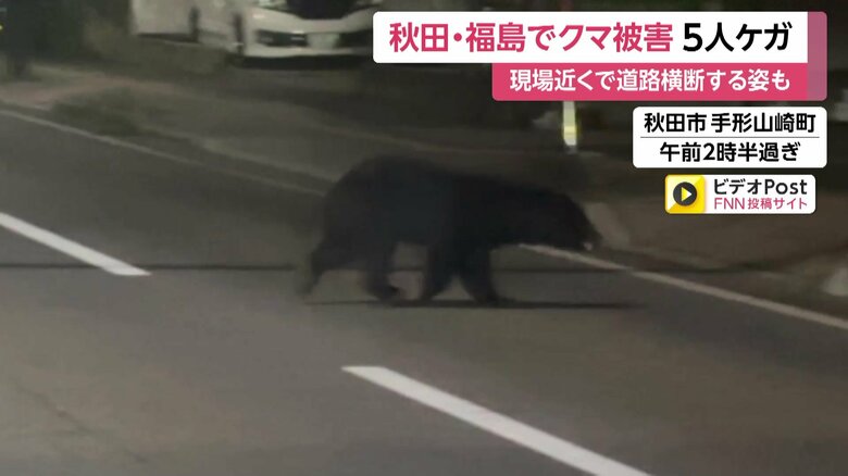 深夜の道路を住宅街に向かって横断するクマ⑦