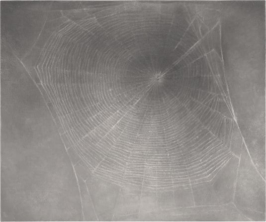 『蜘蛛の巣#3』2000-2002年
© Vija Celmins Digital Image © The Museum of Modern Art/Licensed by SCALA / Art Resource, NY