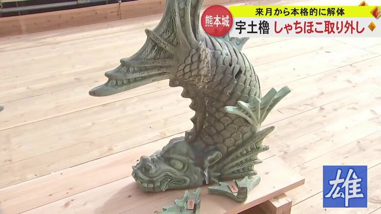 歯が見えている南側の“雄”