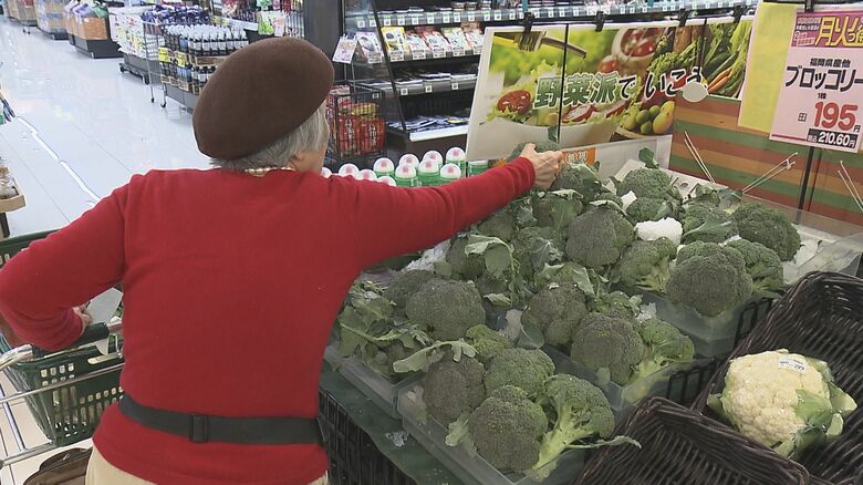 マルミヤストア金池南店