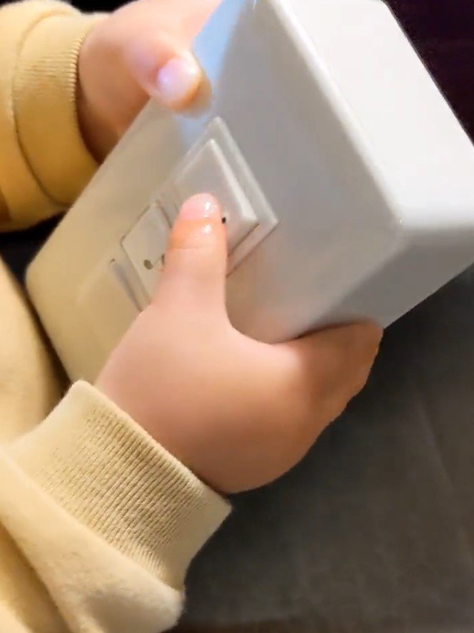 提供：世紀マ3 シンセ担当さん