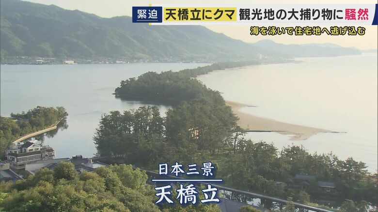 天橋立