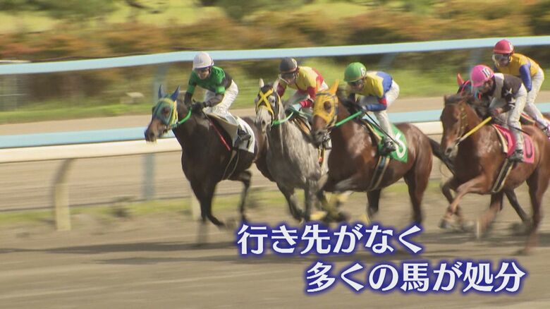 （画像提供：JRA）