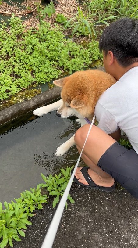 提供：柴リアンハスキーもちごめ兄弟さん