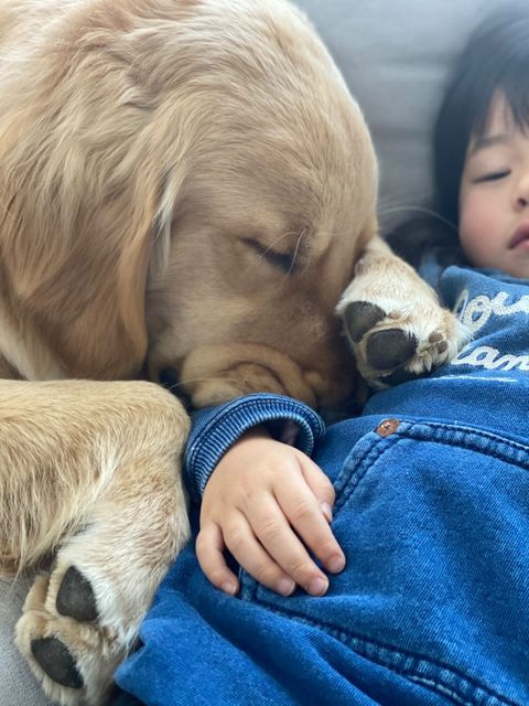 提供：西村 まひろさん