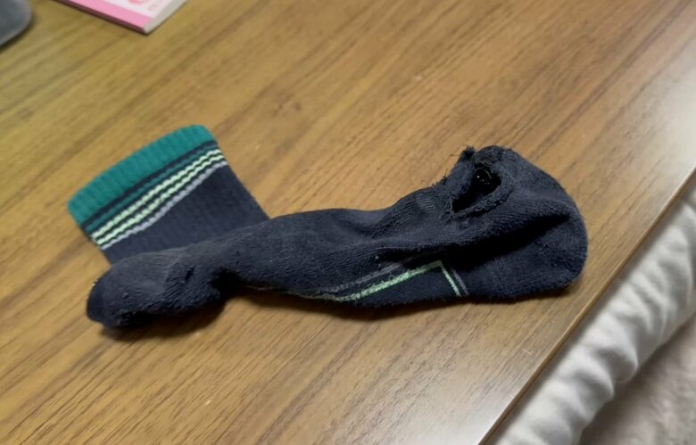 ボロボロになった靴下（提供：愉快な3姉妹ポメラニアンさん）