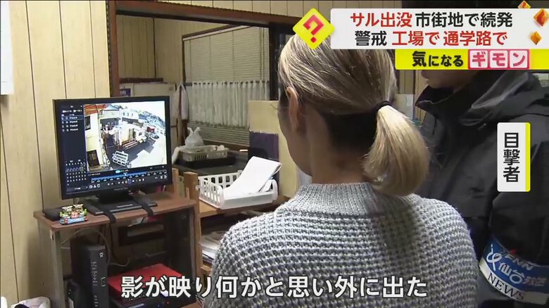 防犯カメラに映ったサルを実際に見た様子を話す目撃者