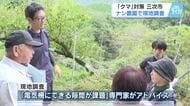 専門家がクマ被害のナシ農園を現地調査　市は柵拡充の補助、緩衝帯の整備に取り組みたい　広島・三次市