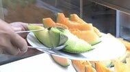 旬のメロン食べ放題に多くの客　「メロン王国」茨城・鉾田市では台風と中東情勢がダブルパンチ　ハウス破損も資材が品薄で届かず