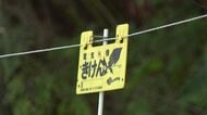 【ヒグマ対策で電気柵ぐるり】“7年前の騒動”を教訓に「総延長18キロメートルの電気柵」を設置_村独自の対策でクマの出没は激減〈北海道・島牧村〉