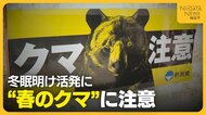 冬眠明けのクマと人が遭遇しやすい春「クマも山菜食べに来る」　音を出す物の携帯・複数人での活動が重要に