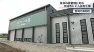 抹茶ブームを追い風に！抹茶原料「てん茶」の県内最大加工場が宮崎市に完成　農家13戸が出資し挑む生産体制の改革