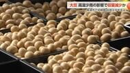 大豆初検査、合格判定も夏の高温少雨の影響で「青立ち」発生　収獲2週間遅れ 収量減少の見通し
