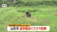 【クマ出没】山形市下椹沢の小学校通学路そばの河川敷で目撃　2026年目撃428件（前年+131件）