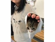 パジャマの袖口が落ち着く? 顔を出す子猫に癒される…どうやって入ったのか飼い主に聞いた