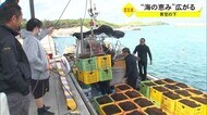 早摘みもずく収穫始まる 宮古島