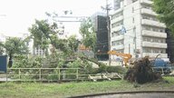 東山動植物園でも倒木等…大雨と突風によるものとみられる被害相次ぐ 名古屋で最大瞬間風速35.4m【愛知発】