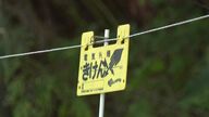 【ヒグマ対策で電気柵ぐるり】“7年前の騒動”を教訓に「総延長18キロメートルの電気柵」を設置_村独自の対策でクマの出没は激減〈北海道・島牧村〉