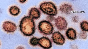 新型コロナ 新たに4人の感染を確認 ~福井~