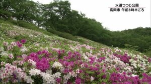雲の多い天気…にわか雨も ツツジの花咲き始める
