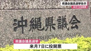 沖縄県議会議院選挙 告示 与野党の議席構成比が焦点