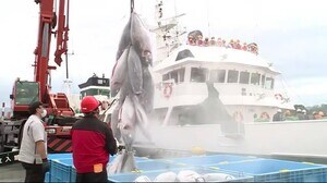 「宮城丸」気仙沼に帰港 今年8月30日から気仙沼向洋高の生徒が実習〈宮城〉