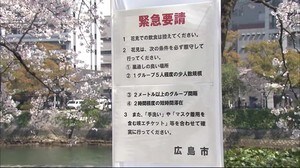 県内各地で桜が満開 花見客もコロナ対策