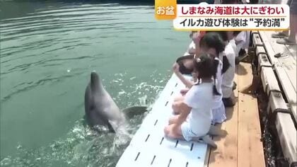 「子供たちより触りたかった」イルカふれあい施設が予約埋まるほど人気　お盆の今治・しまなみ海道【愛媛】