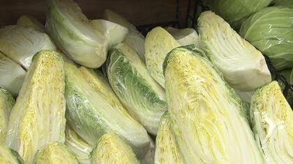 【いま野菜がオトク】キャベツや大根が2～3割値下がり 高値続くタマゴとコメ 安くなるのはいつ？タマゴは年末まで今の状態が続く可能性も…＜北海道＞