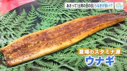 「香りだけでご飯が進みそう！」　あさって２６日は【土用の丑の日】　今年は稚魚が豊漁で、相場が下がる！