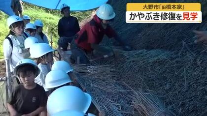 「1本1本丁寧に並べていてすごい！」かやぶき屋根の修復を児童が見学　大野市の国の重要文化財「旧橋本家住宅」　福井　