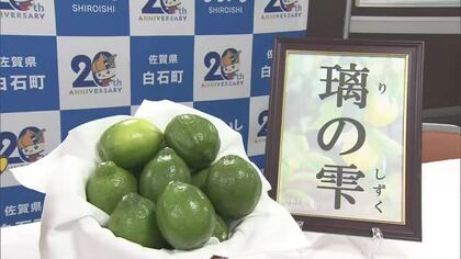 白石産の新特産品レモン愛称決定「璃の雫」町内の道の駅や直売所で販売【佐賀県】