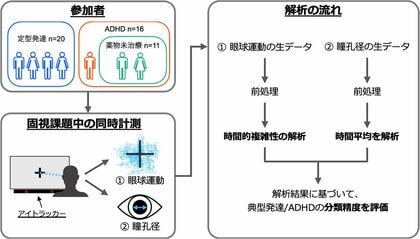 眼球運動と瞳孔径による成人ADHDの客観的・定量的評価