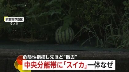 なんでこんな場所に！？“ど根性スイカ”が中央分離帯に！鳥が種を運んで自生か？事故の危険のため撤去　京都市