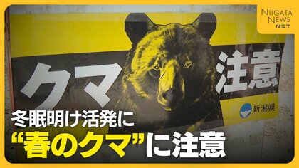 山菜採りシーズン“クマ”との遭遇に注意を「クマも山菜食べに来る」 音を出す物の携帯や複数人での活動が重要に